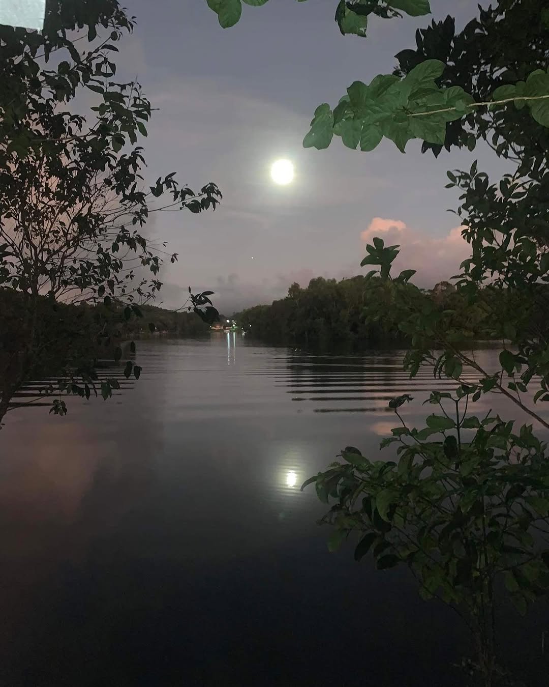 Full moon reflected in the calm waters of Lake Lumot, framed by lush foliage